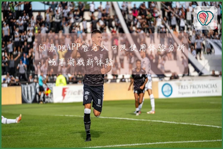 问鼎pgAPP官方入口及使用体验分析，畅享游戏新体验