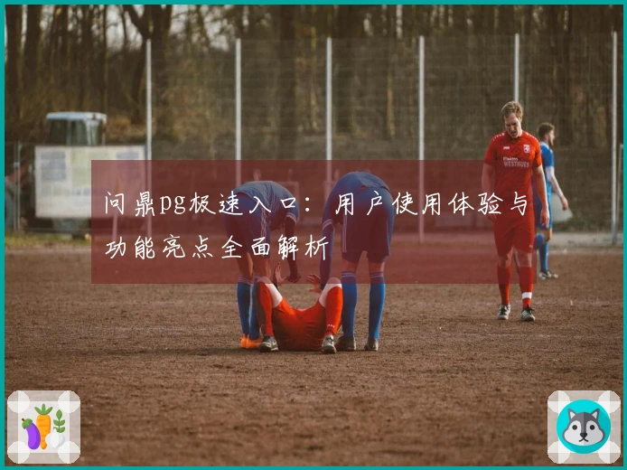 问鼎pg极速入口：用户使用体验与功能亮点全面解析