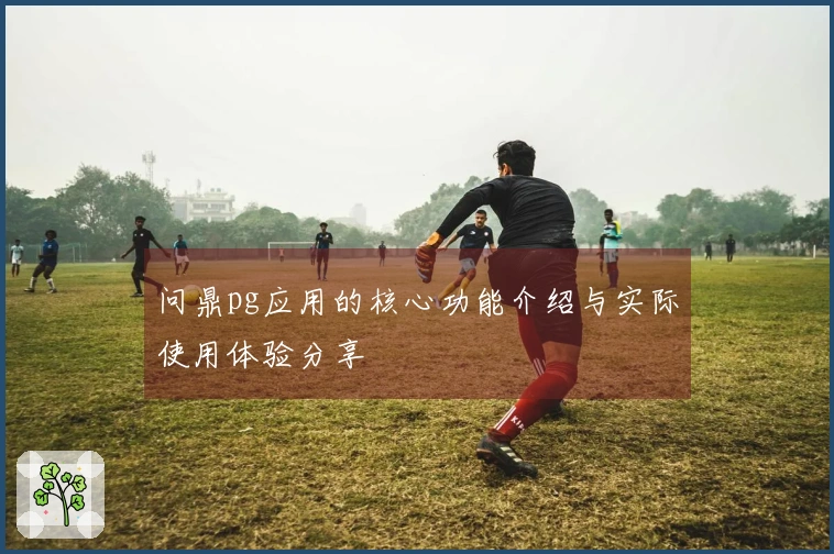 问鼎pg应用的核心功能介绍与实际使用体验分享