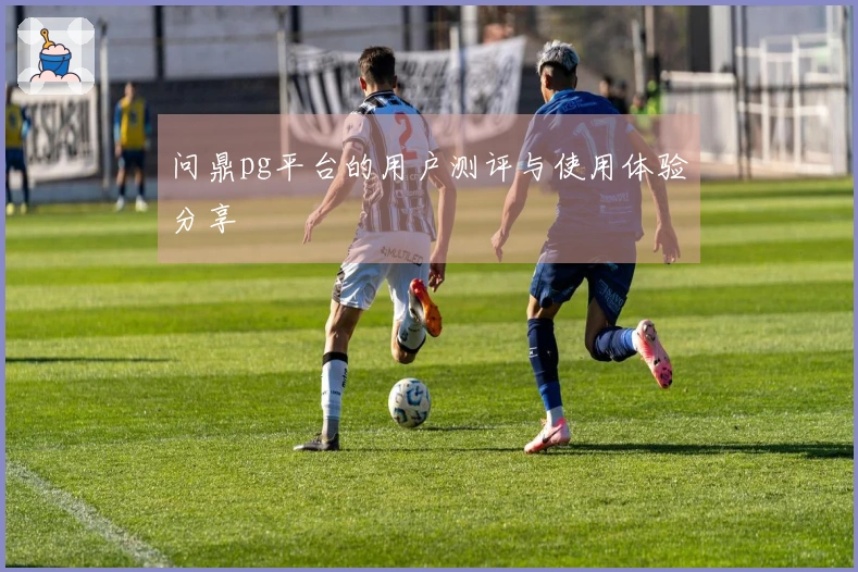 问鼎pg平台的用户测评与使用体验分享